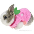 Winter Warm Bunny konijnenkleding